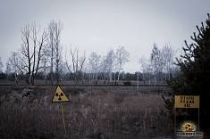 Roter Wald