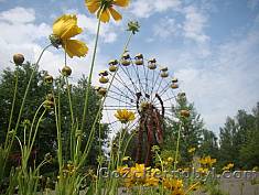Chornobyl Reserve as a unique 