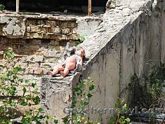 7 PLUSES INDIVIDUAL TOUR TO CHORNOBYL AND PRIPYAT