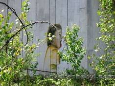 CHORNOBYL TOURISM. RIGHT TO EXIST