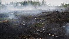 ARSON IS A MAJOR CAUSE OF FIRE IN CHERNLBYL EXCLUSION ZONE